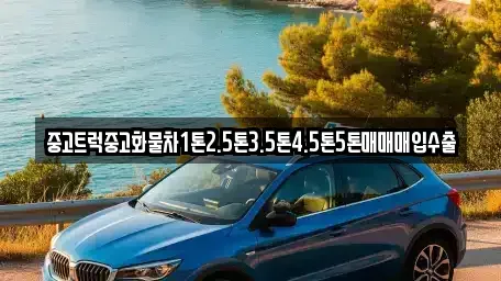 제주특별자치도 제주시 중고차매입 전문 중고트럭중고화물차1톤2.5톤3.5톤4.5톤5톤매매매입수출