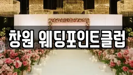창원 웨딩포인트클럽