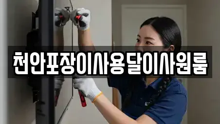 천안포장이사용달이사원룸