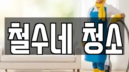 철수네 청소