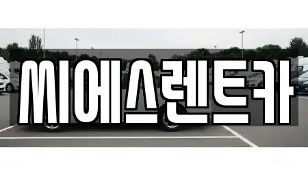 충남 당진시 시곡동 렌트카 전문 씨에스렌트카