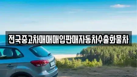 충남 아산시 초사동 단기렌트카,중고차매입,중고차매매,중고차,렌트카,장기렌트카