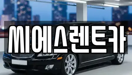 충남 천안시 동남구 청수동 렌트카 전문 씨에스렌트카