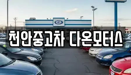 충남 천안시 동남구 청수동 중고차매매 전문 천안중고차 다온모터스