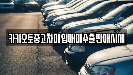 충남 천안시 동남구 청수동 중고차매입 전문 카카오토중고차매입매매수출판매시세