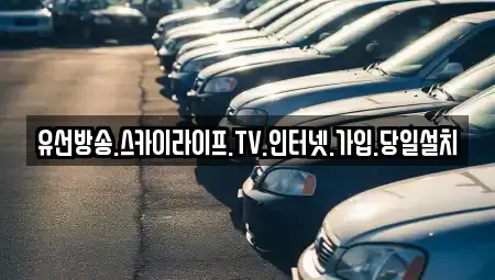 충남 태안군 원북면 중고차매입 전문 유선방송.스카이라이프.TV.인터넷.가입.당일설치