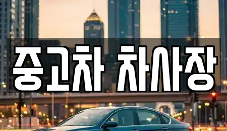 충북 보은군 산외면 중고차 전문 중고차 차사장