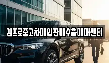 충북 보은군 수한면 중고차 전문 김프로중고차매입판매수출매매센터
