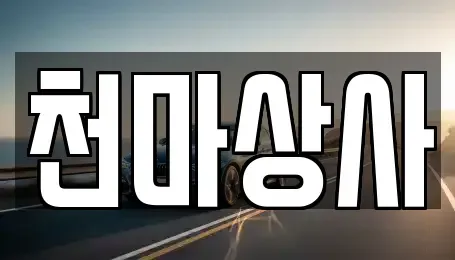 충북 보은군 수한면 중고차 전문 천마상사