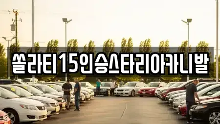 충북 제천시 신월동 렌트카 전문 쏠라티15인승스타리아카니발