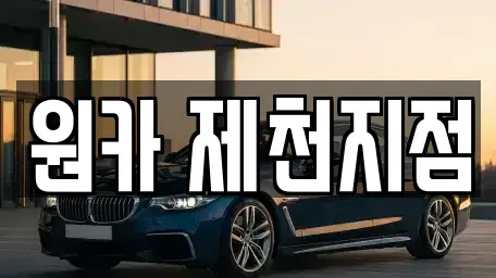 충북 제천시 신월동 렌트카 전문 원카 제천지점