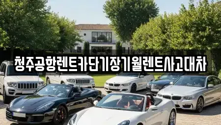 충북 청주시 흥덕구 신대동 단기렌트카 전문 청주공항렌트카단기장기월렌트사고대차