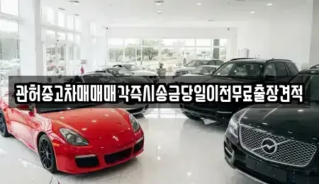 충북 청주시 흥덕구 신대동 중고차매매 전문 관허중고차매매매각즉시송금당일이전무료출장견적