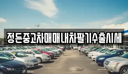 충북 충주시 가주동 중고차 전문 정든중고차매매내차팔기수출시세