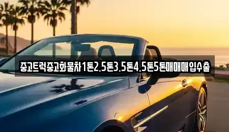 충북 충주시 가주동 중고차 전문 중고트럭중고화물차1톤2.5톤3.5톤4.5톤5톤매매매입수출