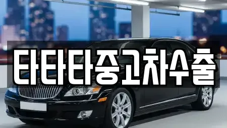충북 충주시 가주동 중고차매매 전문 타타타중고차수출