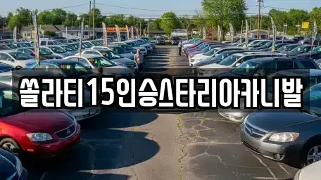 충북 충주시 신니면 렌트카 전문 쏠라티15인승스타리아카니발
