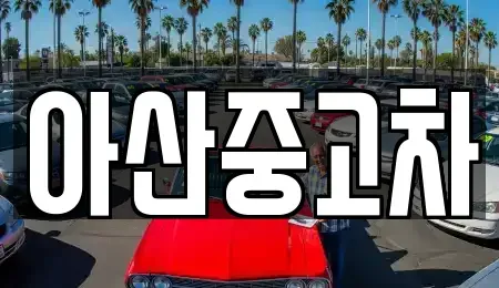 충청남도 아산시 장존동 중고차매매 전문 아산중고차