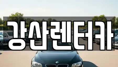 충청남도 천안시 서북구 업성동 단기렌트카 전문 강산렌터카