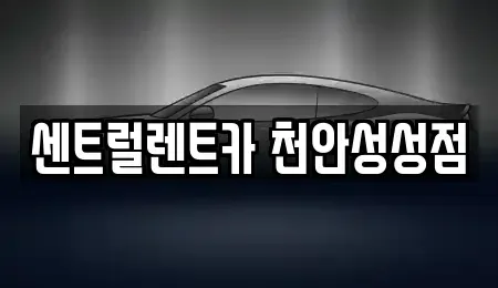 충청남도 천안시 서북구 업성동 렌트카 전문 센트럴렌트카 천안성성점