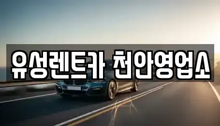 충청남도 천안시 서북구 업성동 렌트카 전문 유성렌트카 천안영업소