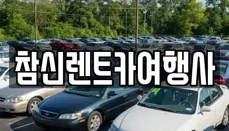 충청남도 천안시 서북구 업성동 렌트카 전문 참신렌트카여행사