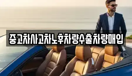 충청남도 천안시 서북구 업성동 중고차매입 전문 중고차사고차노후차량수출차량매입