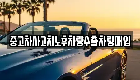 충청북도 단양군 대강면 중고차 전문 중고차사고차노후차량수출차량매입