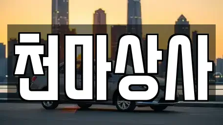 충청북도 보은군 중고차 전문 천마상사