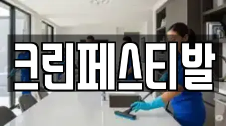 크린페스티발