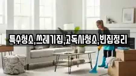 특수청소,쓰레기집,고독사청소,빈집정리