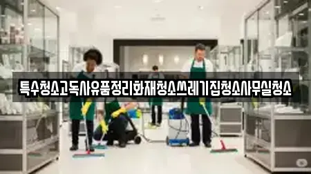 특수청소고독사유품정리화재청소쓰레기집청소사무실청소