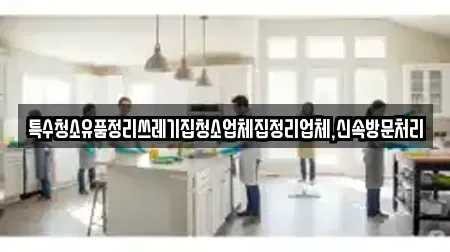 특수청소유품정리쓰레기집청소업체집정리업체,신속방문처리