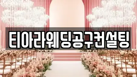 티아라웨딩공구컨설팅