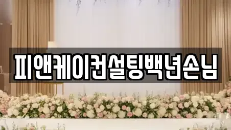피앤케이컨설팅백년손님