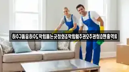 하수구뚫음하수도막힘뚫는곳정화조막힘횡주관오주관청소맨홀역류