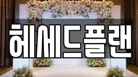 헤세드플랜