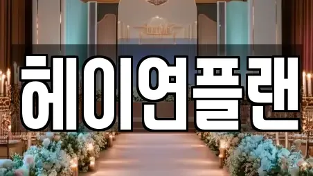 헤이연플랜