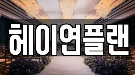 헤이연플랜